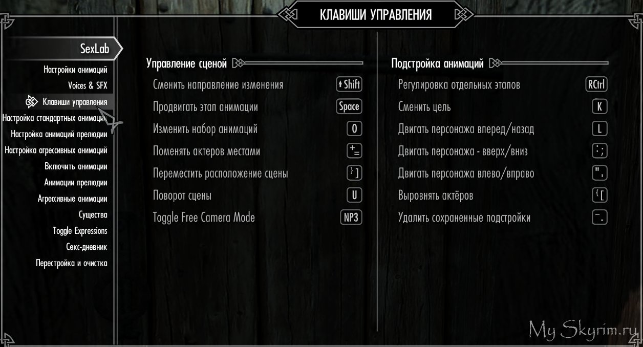 Skyrim — мод позволяющий заняться сексом с любым НПЦ